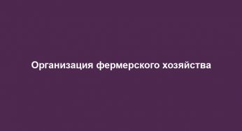 Организация фермерского хозяйства